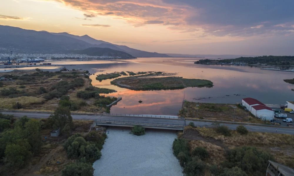 Θεσσαλία: Περιβαλλοντική καταστροφή τα νεκρά ψάρια στον Παγασητικό, λέει καθηγητής του ΑΠΘ - Καταστροφικές επιπτώσεις και στην Οικονομία